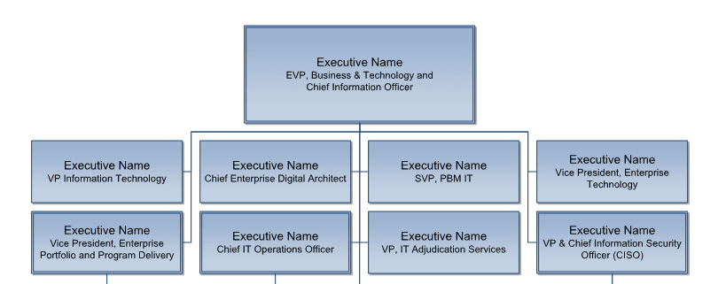 Example of Org Chart Development