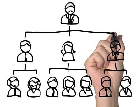 team Org Chart Development