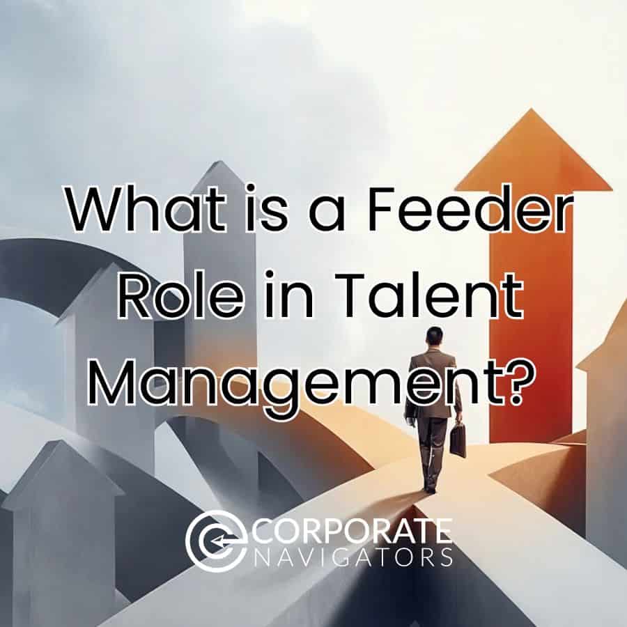 what is a feeder role an in talent management?